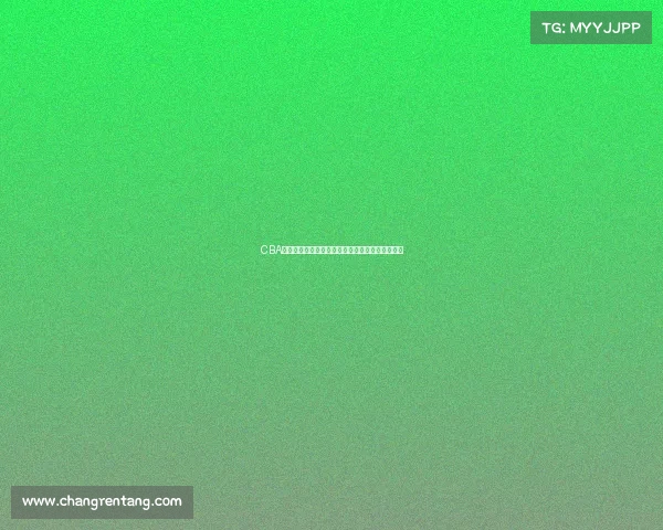 CBA背打战术解析：从技术运用到战术配合的全面解读